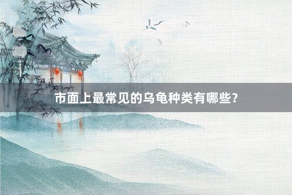 市面上最常见的乌龟种类有哪些？