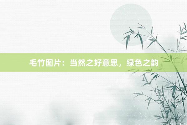 毛竹图片：当然之好意思，绿色之韵
